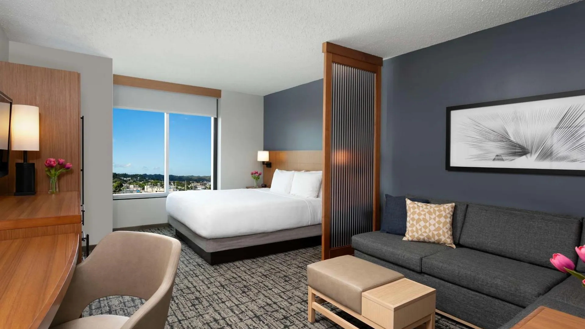 Hyatt Place Manati Puerto Rico